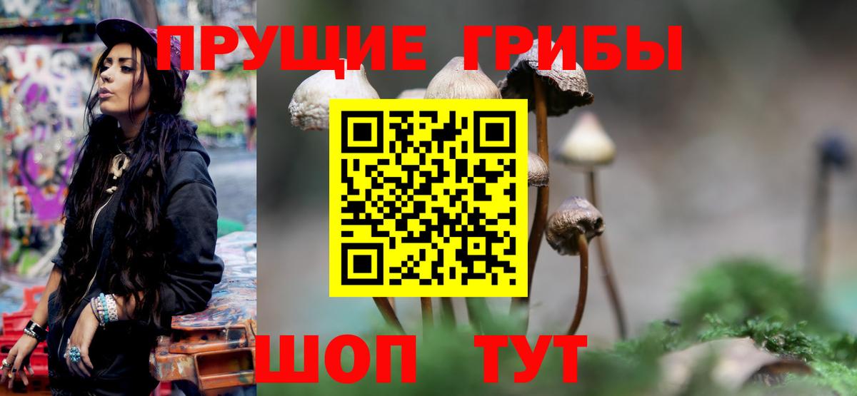 Муравленко  Псилоцибиновые грибы MAGIC MUSHROOMS  Вход с VPN 